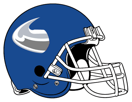 Buffalo Bulls 2001-2005 Helmet Logo diy iron on heat transfer